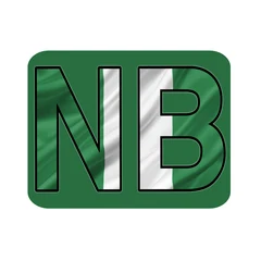NigeriaBrowser logo